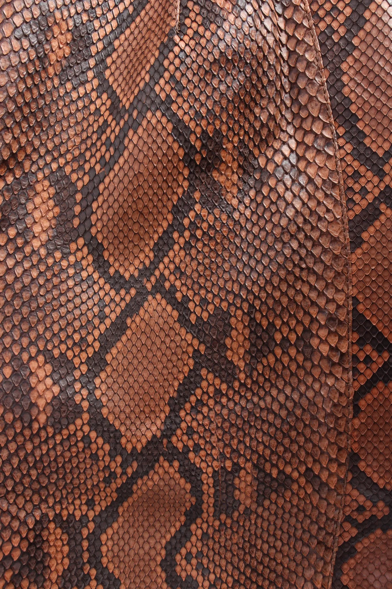 Snakeskin Bermuda Shorts