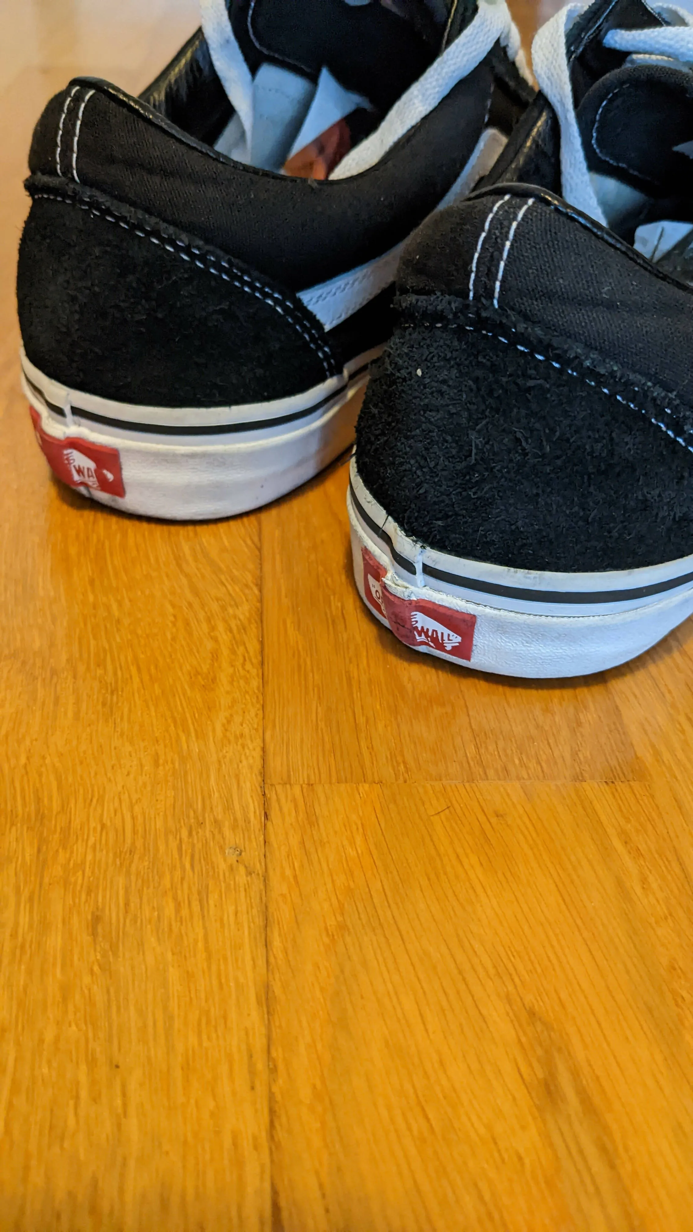 VANS Suede Canvas Schwarz-weiss (EUR42)